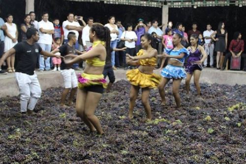 La producción de piscos y vinos en la región Ica conlleva una serie de tradiciones y costumbres genuinas alrededor de la siembra y cosecha de uvas y que constituyen un notable legado cultural convertido en un importante recurso turístico llamado la Ruta de los Lagares.