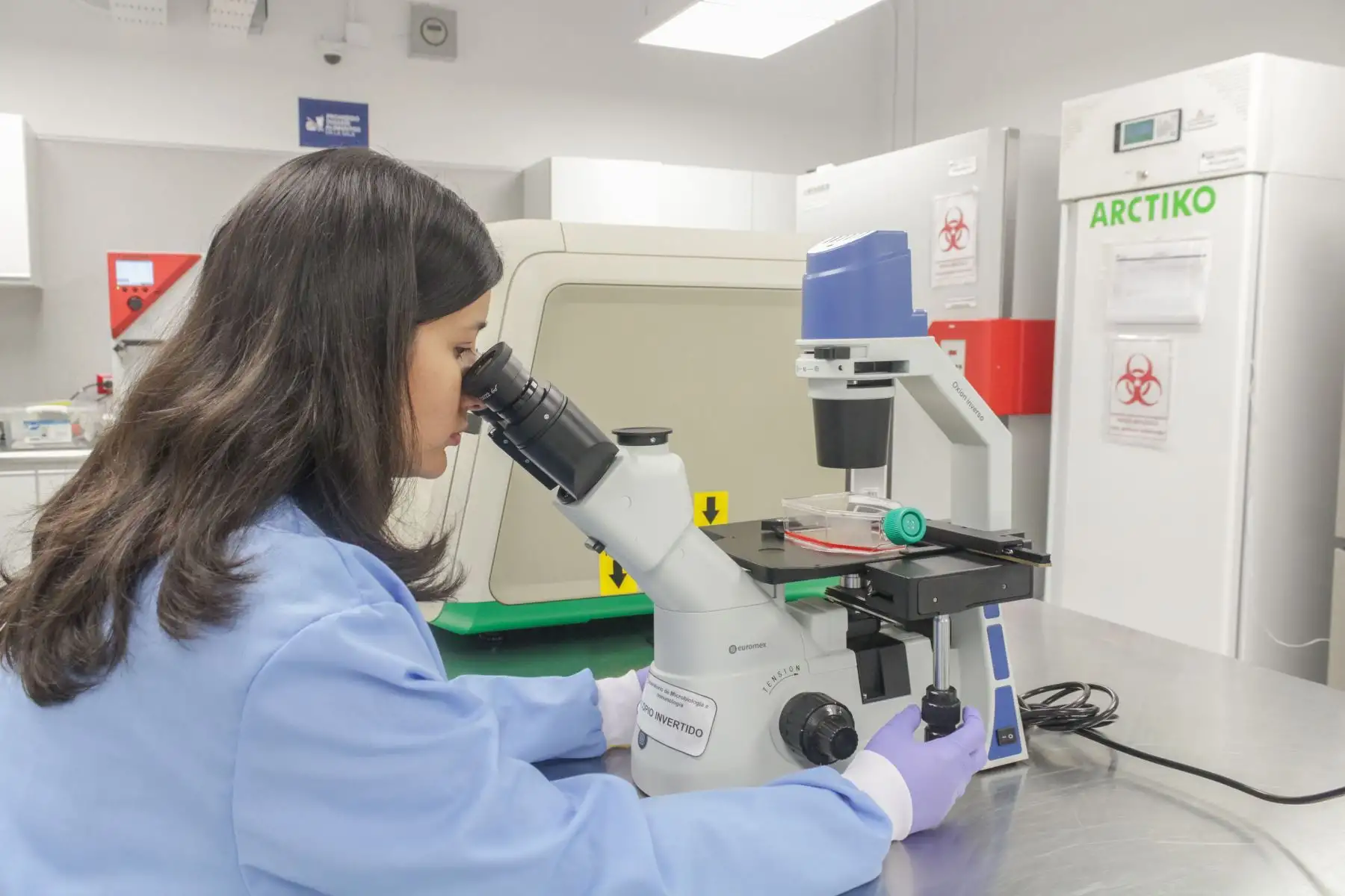 Los ocho programas de doctorado destacan las áreas de Nutrición, Ciencias de la Salud, Ciencias Biológicas, Química, Física, Ingeniería Agroindustrial, Ingeniería y Ciencias Ambientales y Ciencias para el Desarrollo Sustentable.