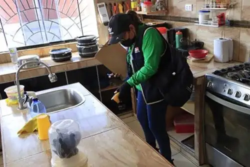 El bambú y otras plantas acuáticas son criaderos de zancudos que transmiten el dengue: Sino se trata a tiempo puede ser mortal.ANDINA/Difusión