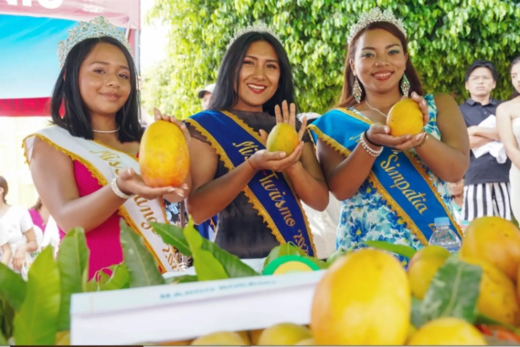 Ica: Festival del Mango en El Ingenio concluyó con concurso ...