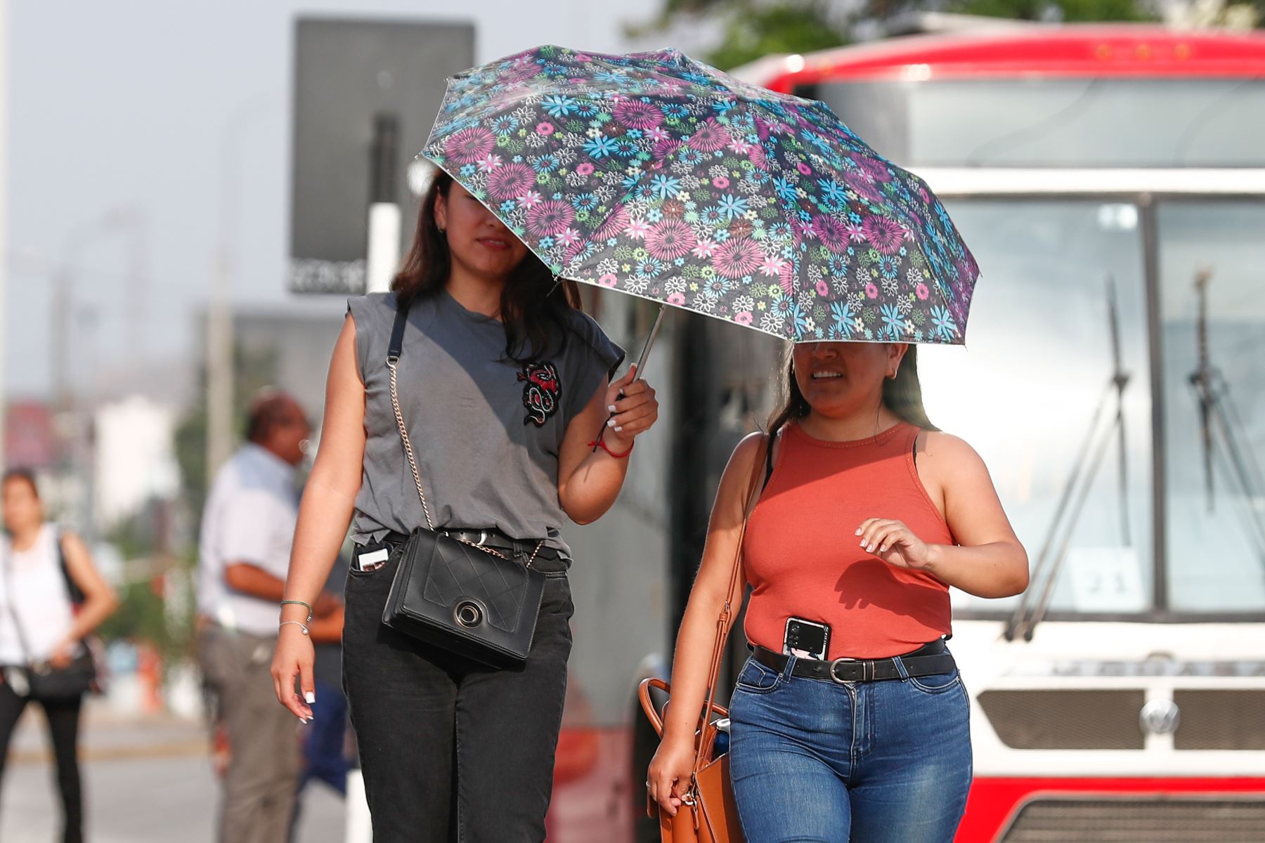 El golpe de calor en Lima y el Callao se agudiza durante la segunda quincena de febrero, alcanzando niveles de sensación térmica entre los 36 y 38 ºC. Las altas temperaturas de este verano 2024 obliga a muchas personas a usar con más frecuencia sombreros, gorros y sombrillas para protegerse de la radiación solar. Foto: ANDINA/Daniel Bracamonte