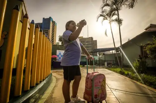 Un “golpe de calor” se produce por la pérdida de agua y sales minerales que alteran el sistema de regulación térmica. Foto: EsSalud