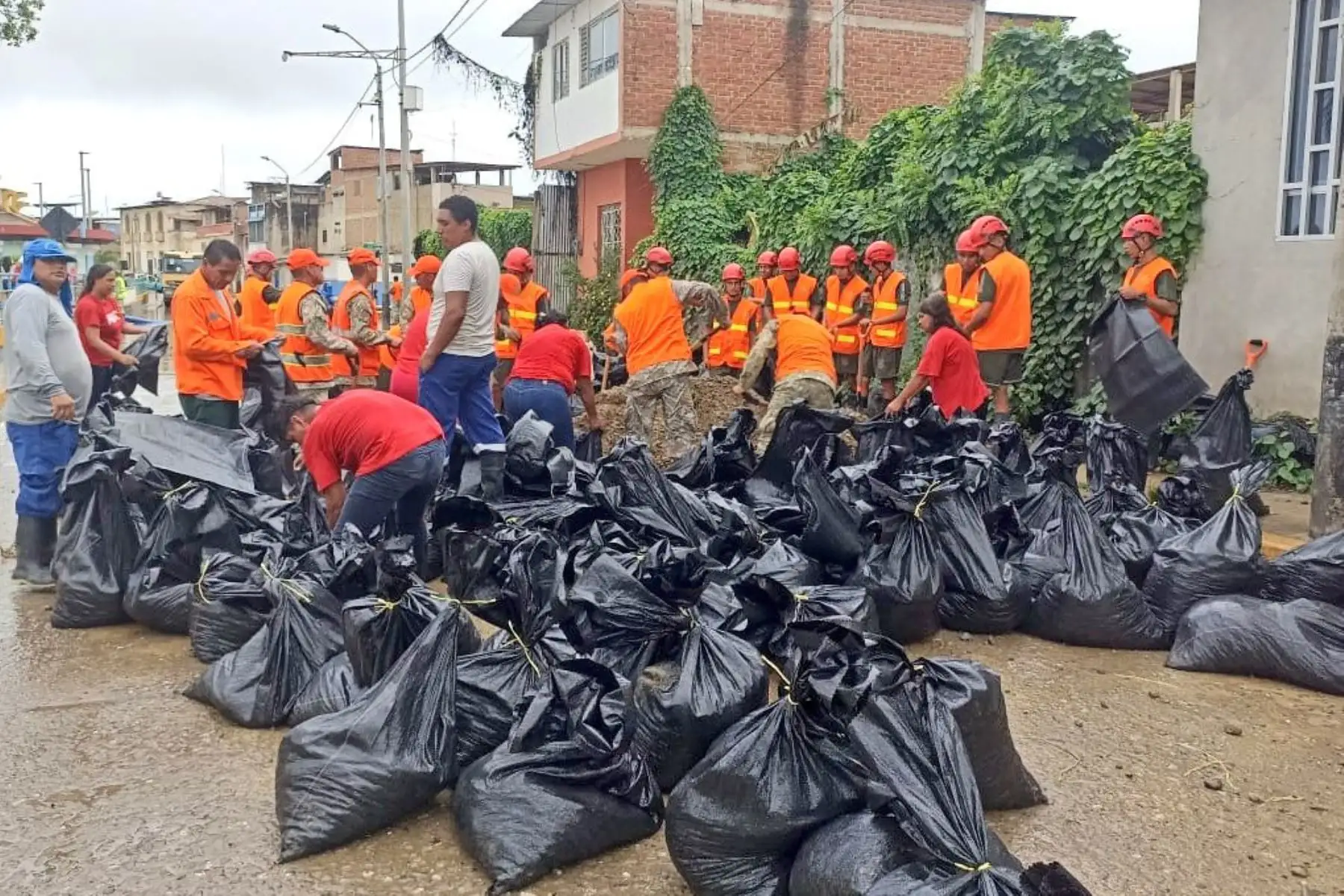 En Tumbes, en calle malecón Benavides, personal del Batallón de Ingeniería de Combate N° 1 del Ejercito del Perú, realizan trabajos de limpieza de calles y colocación de sacos  en viviendas para impedir el ingreso de agua ante las lluvias.
Foto: Mindef