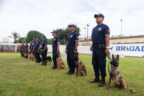 La Gerencia de Seguridad Ciudadana del municipio limeño adoptó al can, bautizándolo como 