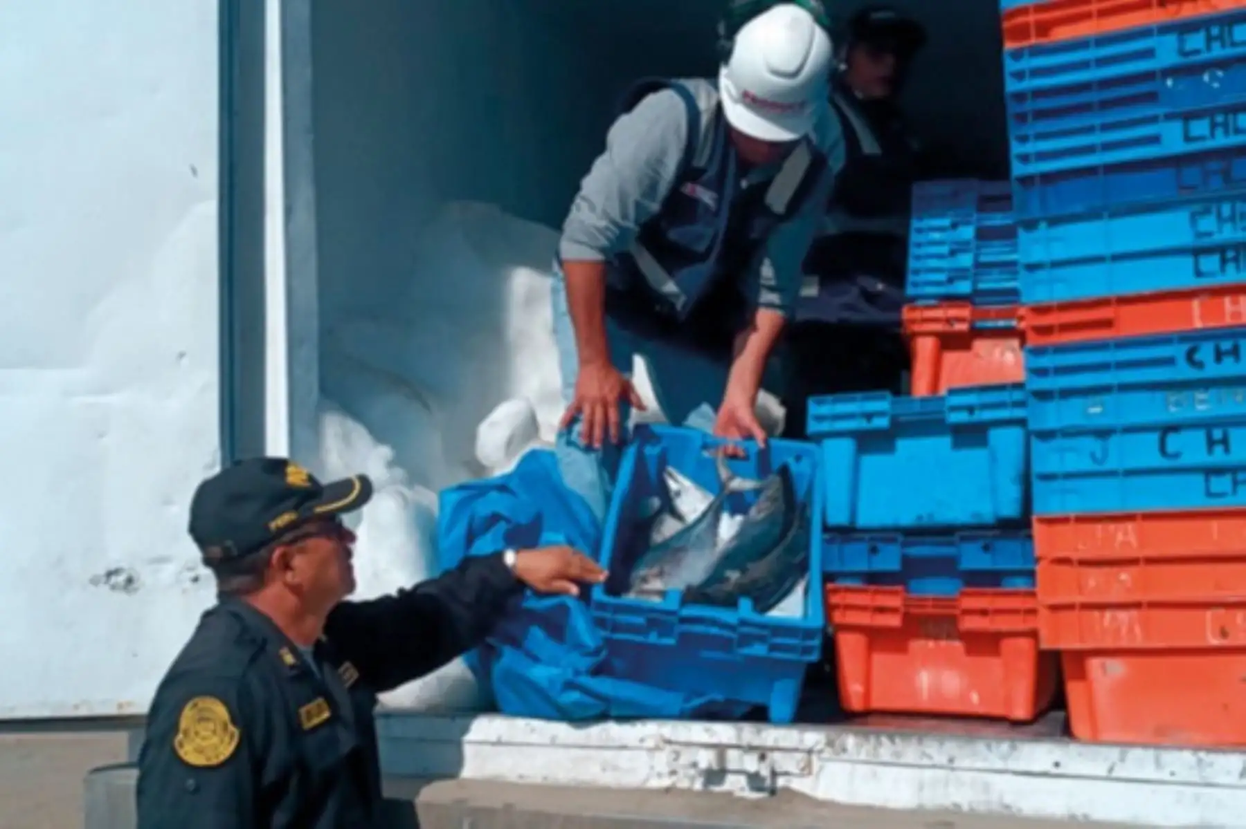 Intervención contra pesca ilegal. Cortesía