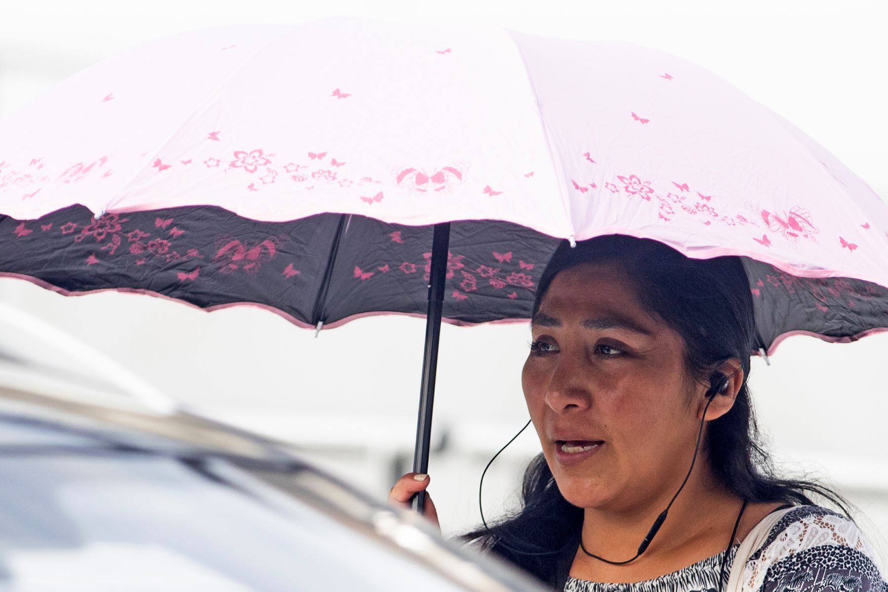 Para el domingo 17, el Senamhi estima temperaturas máximas entre 20 °C y 30°C en la sierra norte, entre 19°C y 29°C en la sierra centro, y de 19 °C y 29 °C en la sierra sur.ANDINA/Carlos Lezama Villantoy