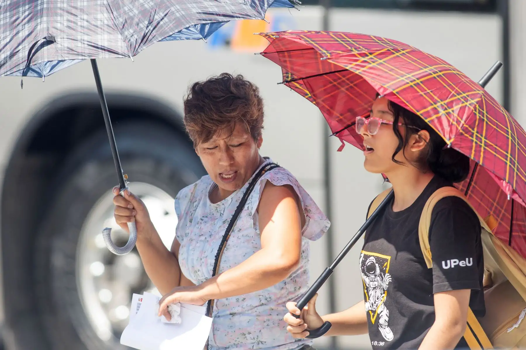 Según el Senamhi, el verano tendrá temperaturas cálidas en costa norte y centro; y lluvias en la región andina centro y sur.