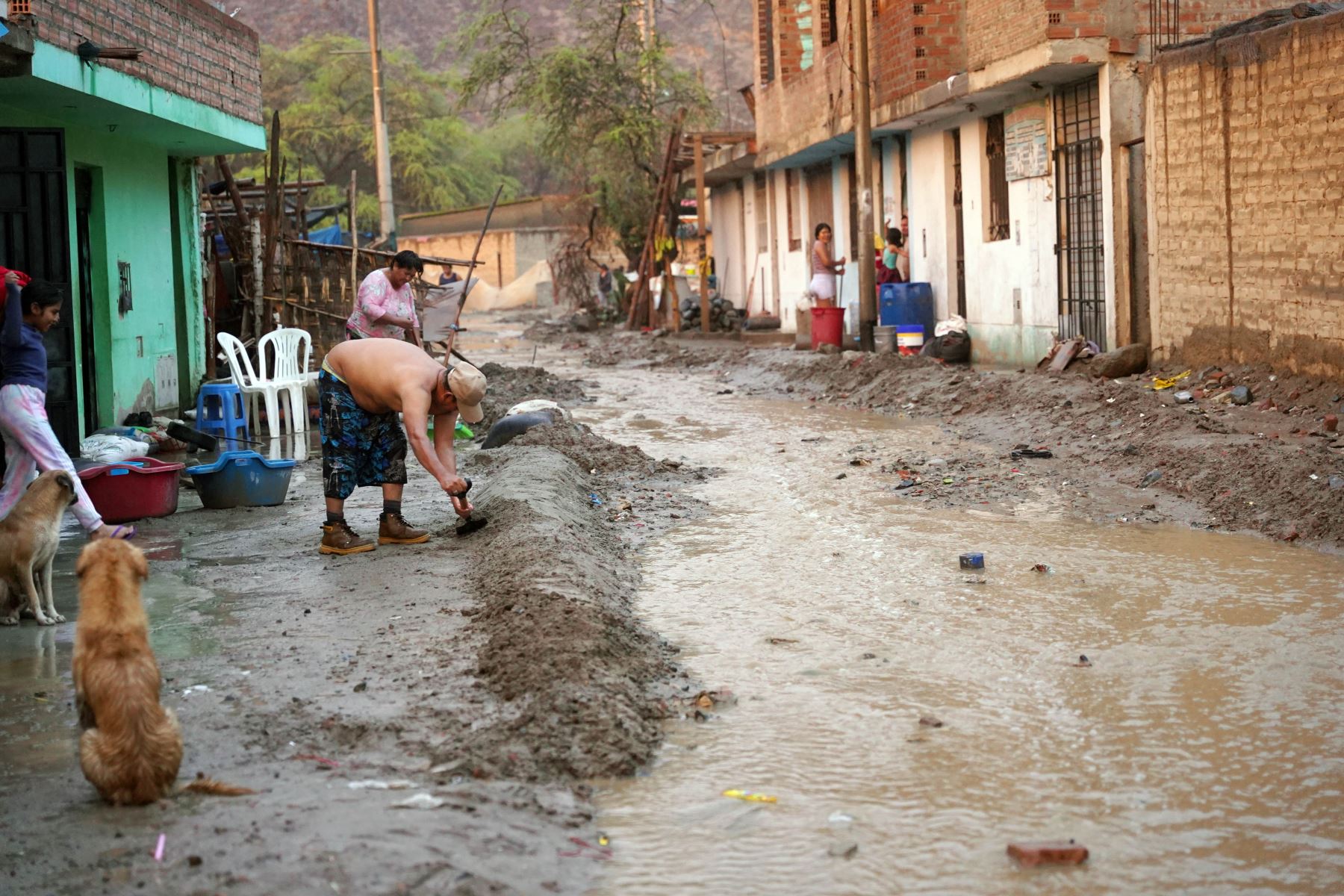 El Cenepred exhorta a las autoridades de los tres niveles de gobierno a trabajar la gestión del riesgo de desastres. Foto: ANDINA/Difusión