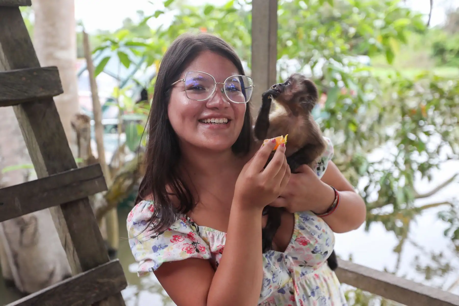 En el distrito Manantay en medio del río Ucayali se encuentra la reserva de la asociación Prebiocha, que se encarga de preservar la vida silvestre, salvando a distintos primates de la casería ilegal, como en el caso de "Sofia" una mona araña que perdió la visión del ojo derecho y un dedo y ahora vive libremente en esta reserva silvestre.
Foto: ANDINA/Ricardo Cuba