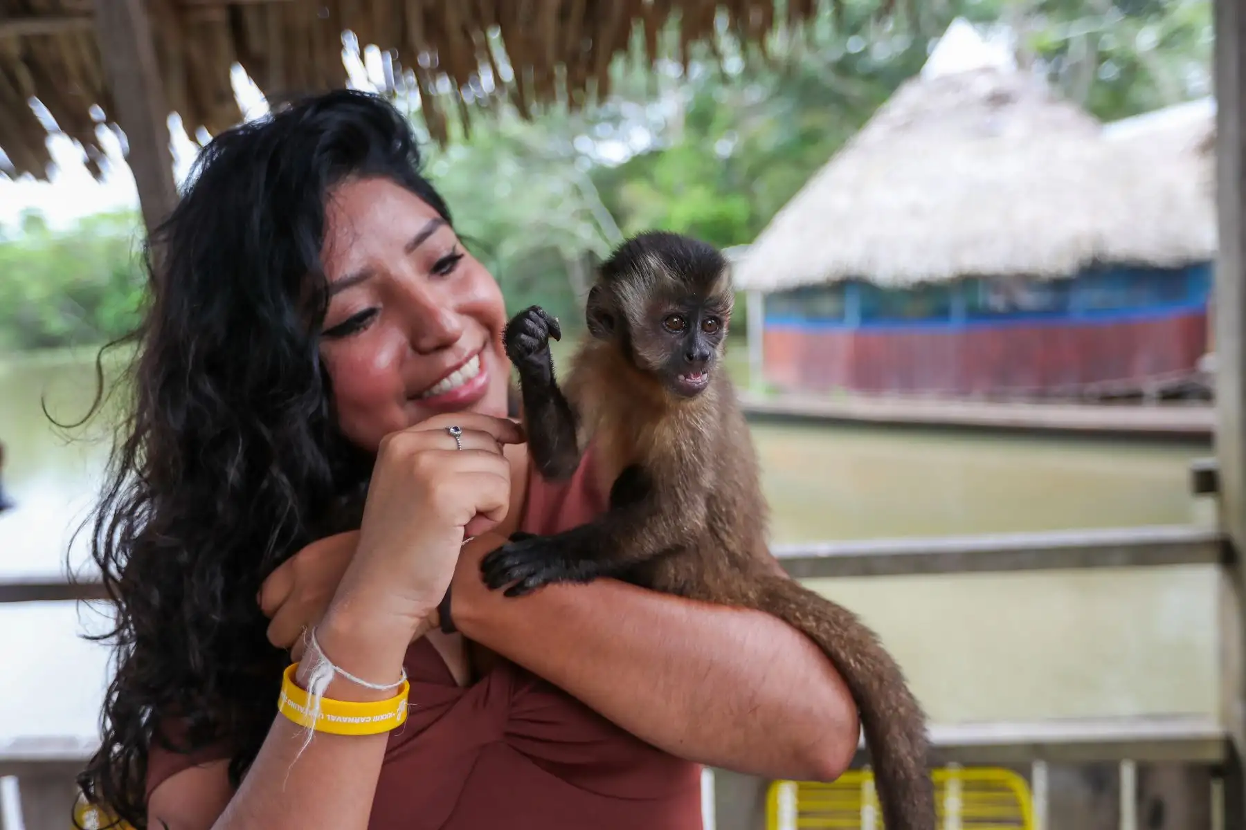 En el distrito Manantay en medio del río Ucayali se encuentra la reserva de la asociación Prebiocha, que se encarga de preservar la vida silvestre, salvando a distintos primates de la casería ilegal, como en el caso de "Sofia" una mona araña que perdió la visión del ojo derecho y un dedo y ahora vive libremente en esta reserva silvestre.
Foto: ANDINA/Ricardo Cuba