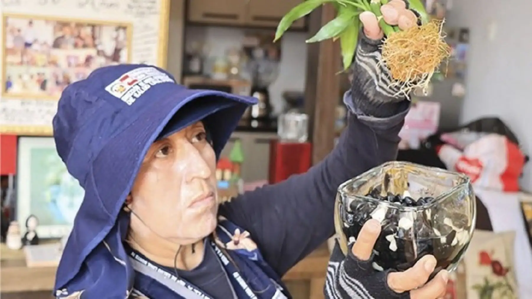 Entre los principales criaderos de zancudos que se vienen eliminando se registran floreros, plantas acuáticas, baldes, botellas, contenedores, objetos y lugares donde se empoza y almacena agua.