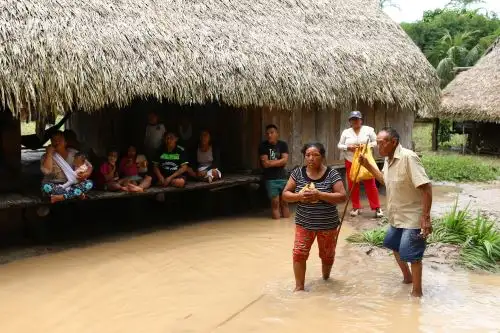 Hasta el momento, a escala nacional, hay19,000 hectáreas de cultivos afectadas y 8,624 perdidas. ANDINA/Difusión.