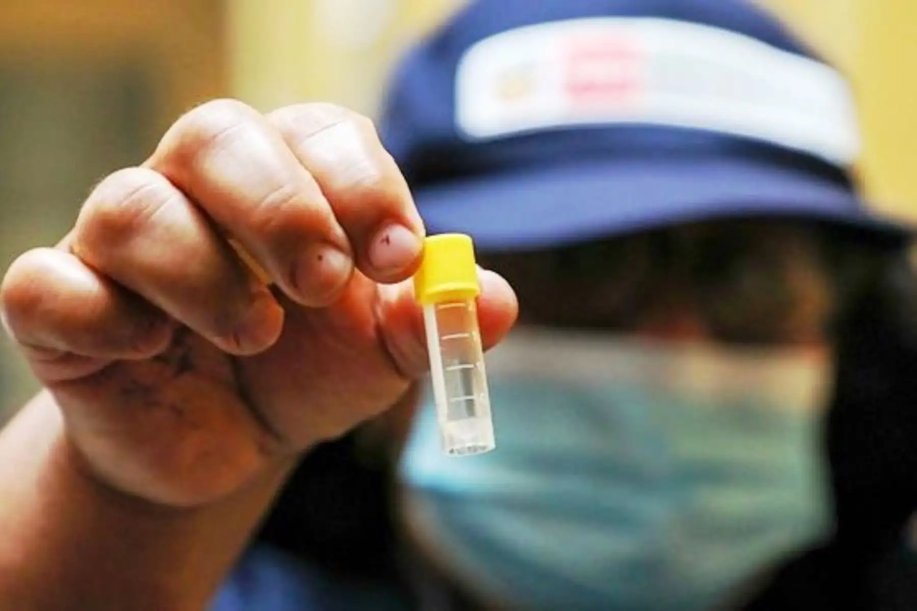 Dengue: se intensifican acciones de control larvario en El Agustino. Foto: ANDINA/Difusión.
