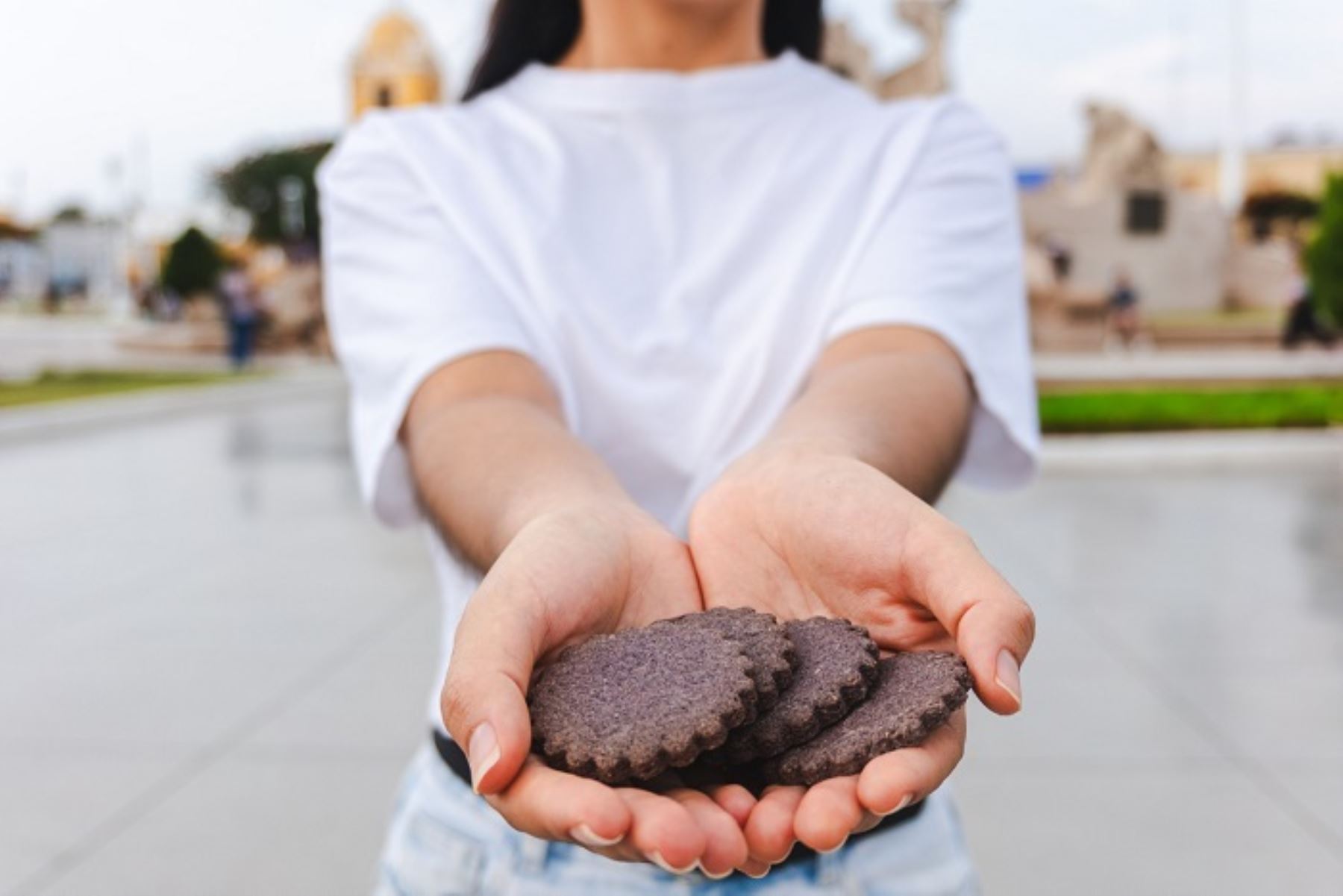 Año escolar: Produce lanza campaña con promoción de productos nutritivos para loncheras