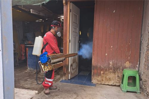 Ministerio de Salud y Municipalidad de Puente Piedra promueven  brigadas de fumigación casa por casa contra el dengue