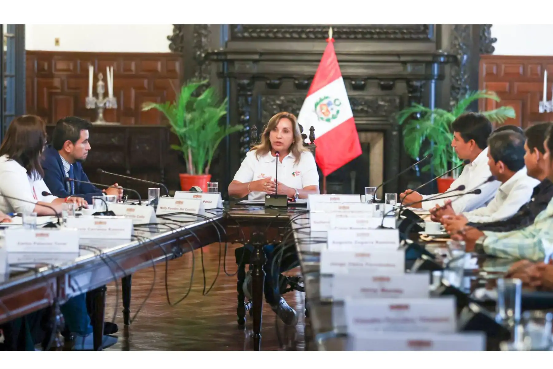 ANDINA/Difusión