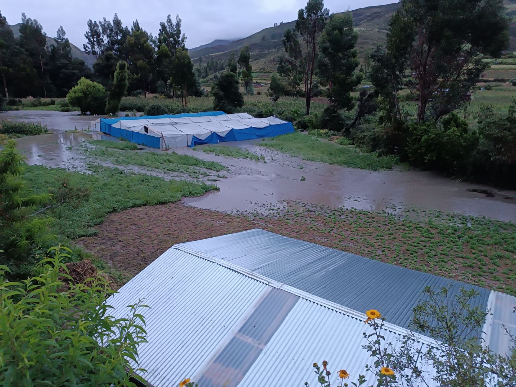 Lluvias intensas han causado cuantiosos daños materiales en diversas localidades de las provincias de Huanta y La Mar, región Ayacucho. ANDINA/Difusión