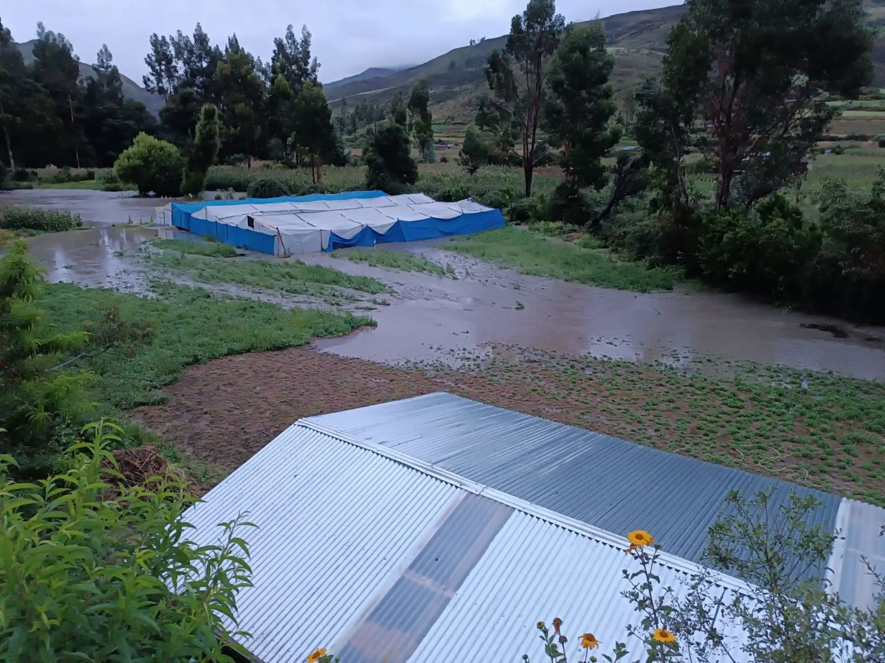 Lluvias intensas han causado cuantiosos daños materiales en diversas localidades de las provincias de Huanta y La Mar, región Ayacucho. ANDINA/Difusión