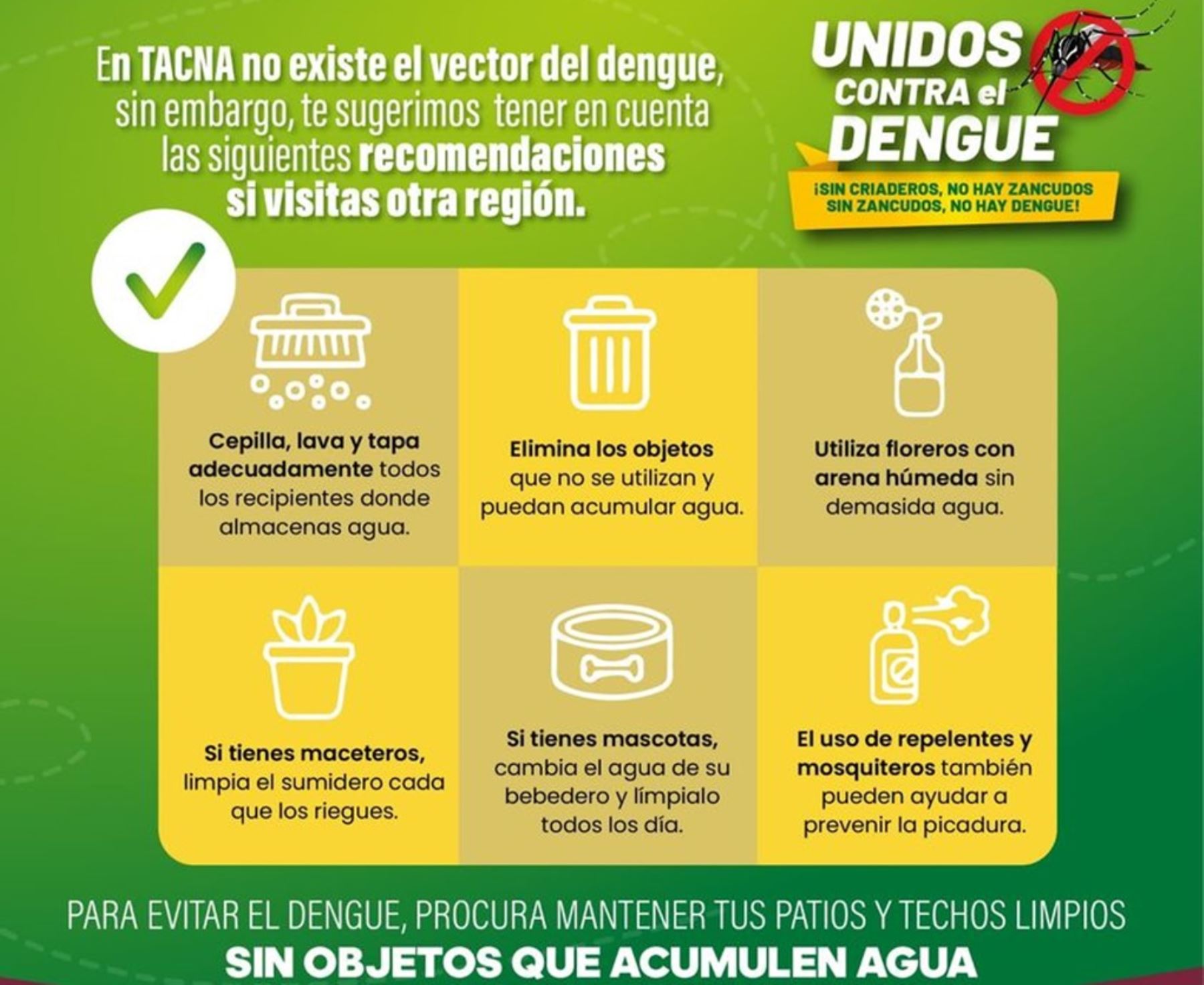 A pesar de tener un bajo índice de casos de dengue, Tacna sigue adelante con su estrategia para prevenir esta enfermedad.