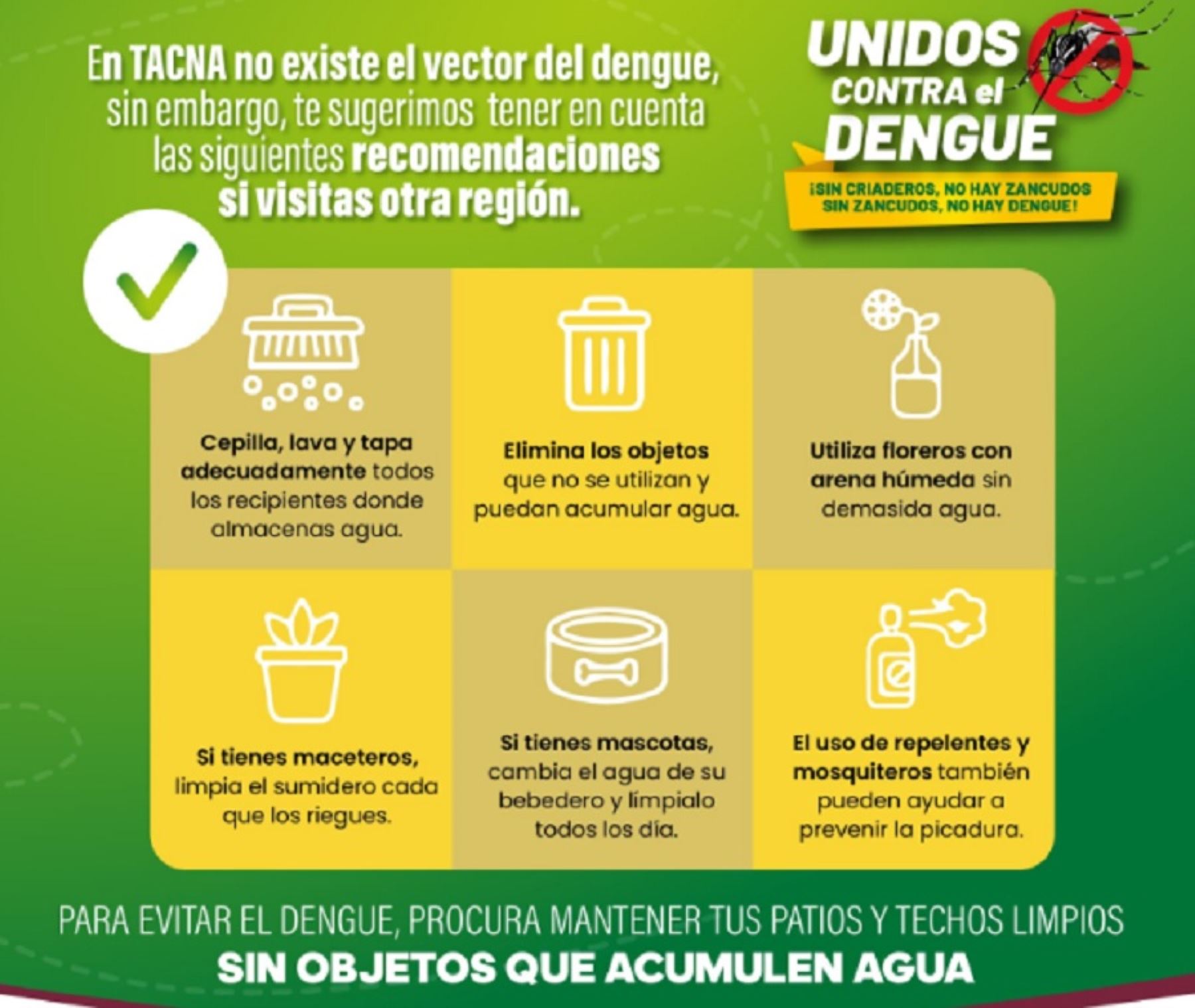 Medidas sanitarias para prevenir el dengue dispuestas por la Dirección Regional de Salud de Tacna.
