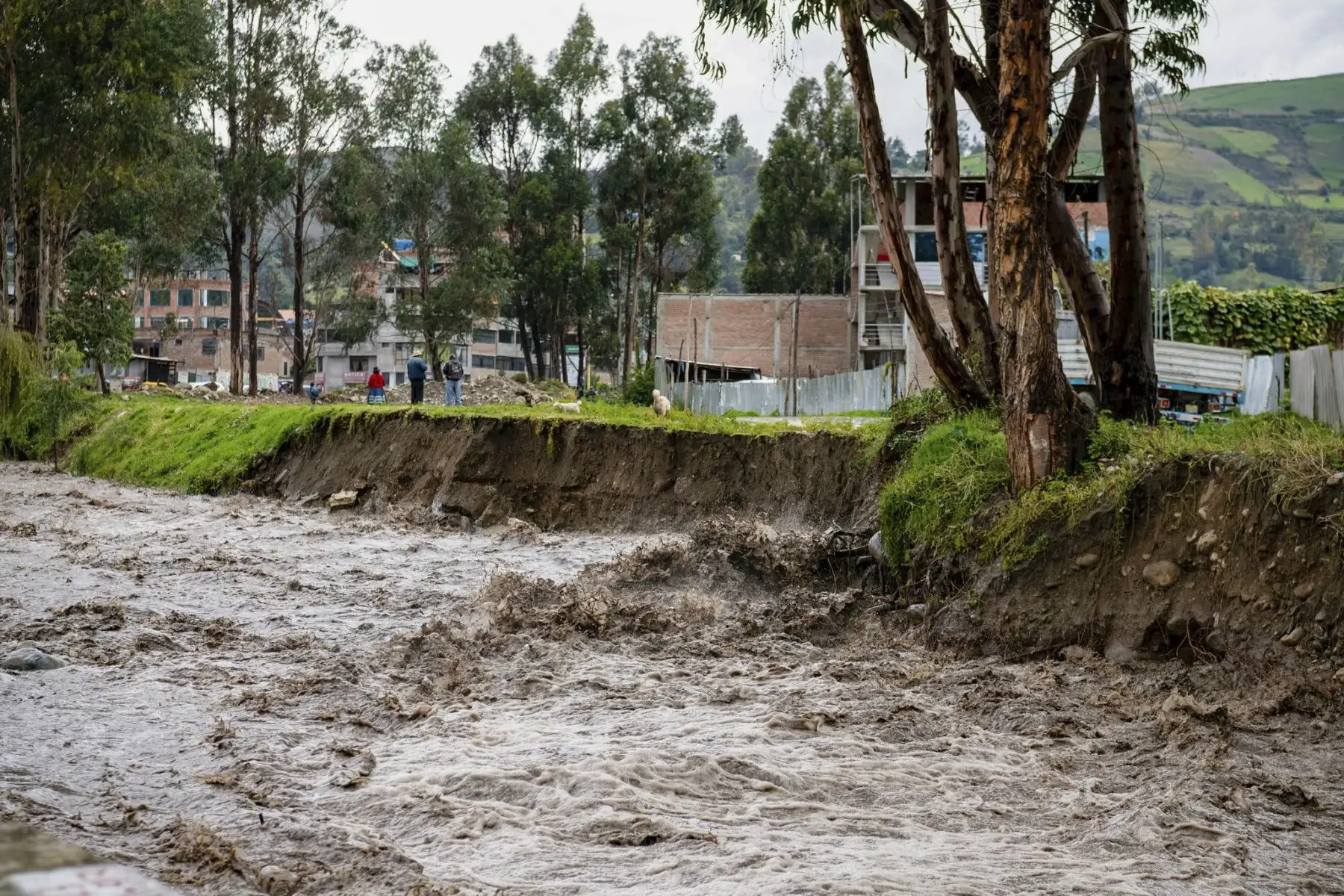 La Dirección Regional de Defensa Nacional y Defensa Civil de Apurímac informó que la emergencia se registró este viernes 1 de marzo, aproximadamente a la 01:00 de la madrugada.
Foto: ANDINA/Muni Andahuaylas