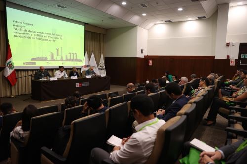 Minem expuso el análisis de las condiciones del marco normativo y político en Perú para la producción de Hidrógeno Verde. Foto: Cortesía.