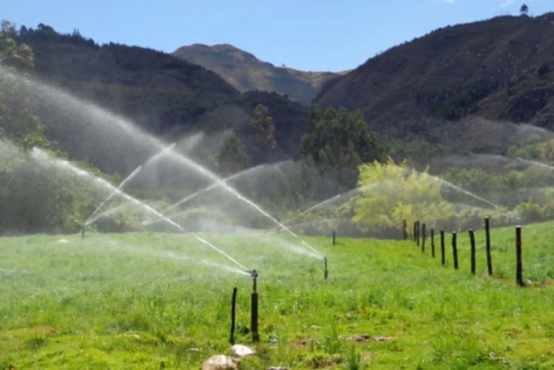 Agricultura sostenible. Foto: Cortesía.
