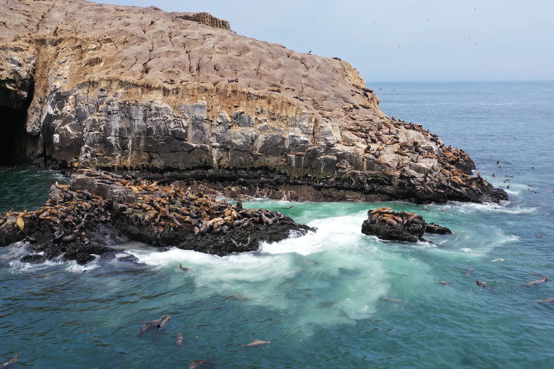 Las islas Cavinzas e islotes Palomino se convirtieron recientemente en el primer destino turístico del Perú en obtener el prestigioso premio ITB Earth Award 2024. Foto: ANDINA/Difusión
