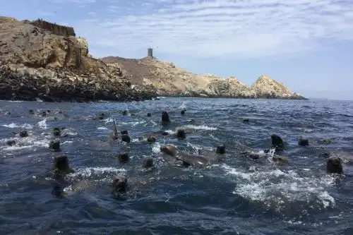 Las islas Cavinzas e islotes Palomino se convirtieron recientemente en el primer destino turístico del Perú en obtener el prestigioso premio ITB Earth Award 2024. Foto: ANDINA/Difusión