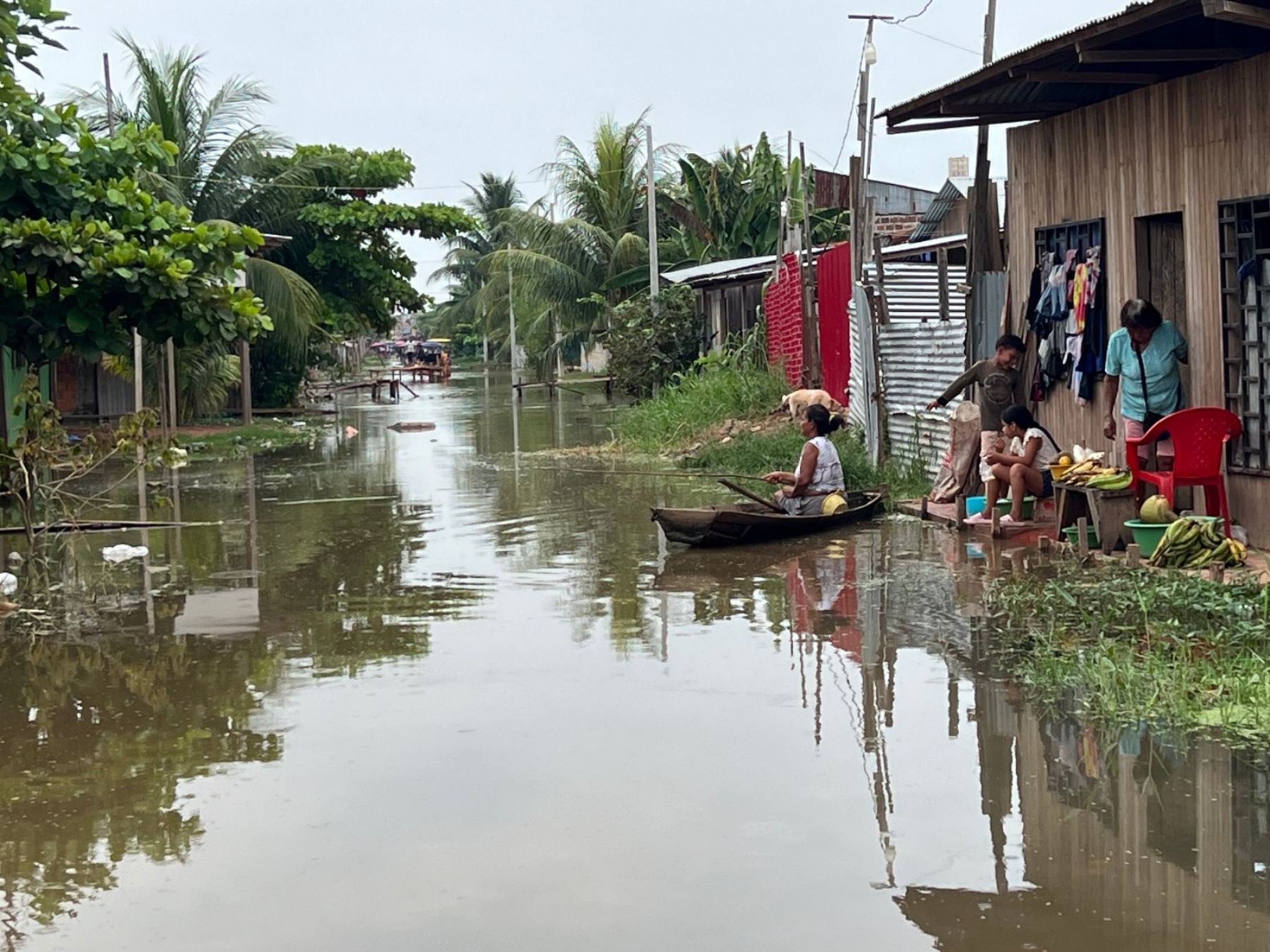 Más de 2,300 pobladores afectados deja hasta el momento el desborde del río Ucayali en diversos poblados ubicados en el distrito de Callería, provincia de Coronel Portillo, región Ucayali. ANDINA/Difusión