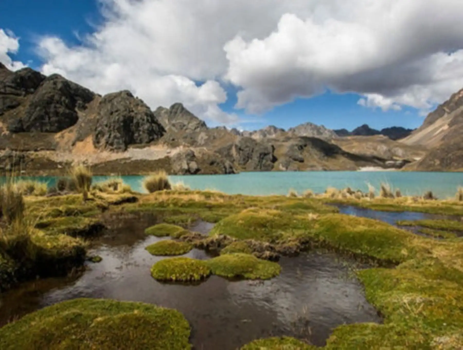 Más de S/ 168 millones otorgará el Fondo Verde el Clima para impulsar iniciativas que garanticen una agricultura y ganadería sostenible en zonas altoandinas de Perú. ANDINA/Difusión
