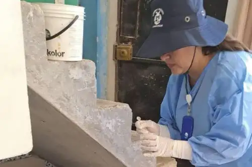 Minsa prepara estrategia para controlar el contagio del dengue. Fuente: ANDINA//Minsa.
