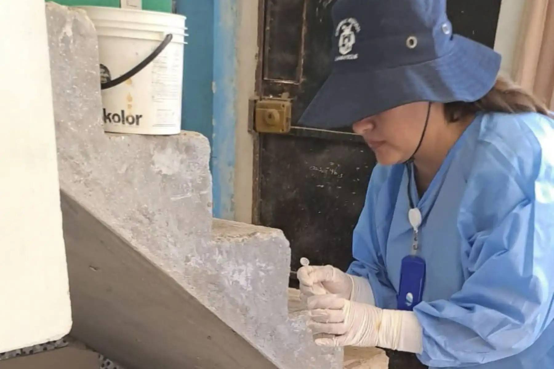 Minsa prepara estrategia para controlar el contagio del dengue. Fuente: ANDINA//Minsa.