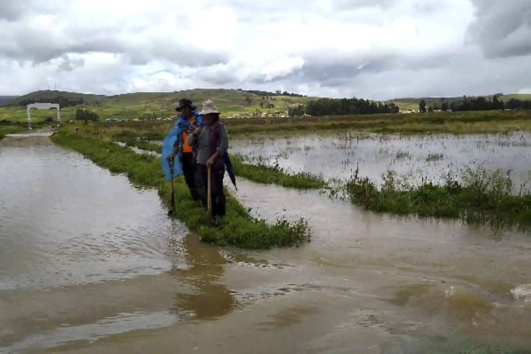 El desborde de la laguna Tragadero, en la región Junín, ha ocasionado cuantiosos daños materiales. Foto: ANDINA/Cortesía Pedro Tinoco