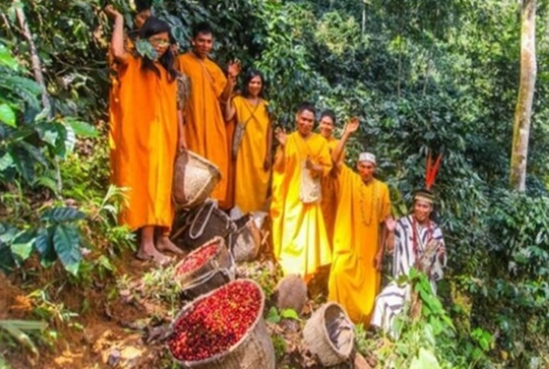 Sector Ambiente impulsa proyecto a favor de productores de café y cacao en la Amazonía sin deforestación.