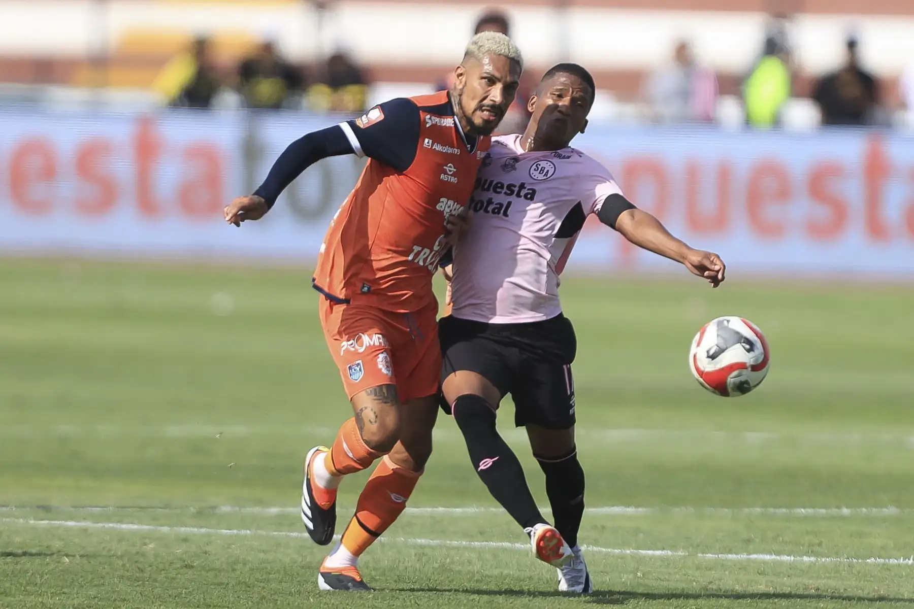 Sport Boys enfrenta a la Universidad César Vallejo por la fecha 7 del Torneo Apertura de la Liga 1. Paolo Guerrero está presente desde el primer minuto de juego. Foto: ANDINA/Jhonel Rodríguez Robles