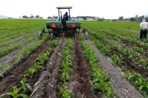 Agro.