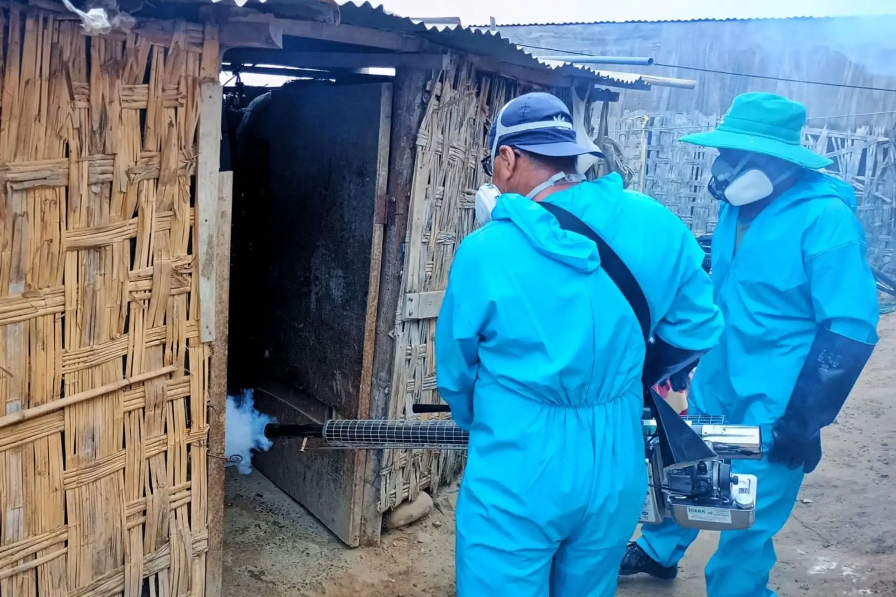 Confirman segundo caso de dengue autóctono en Arequipa
