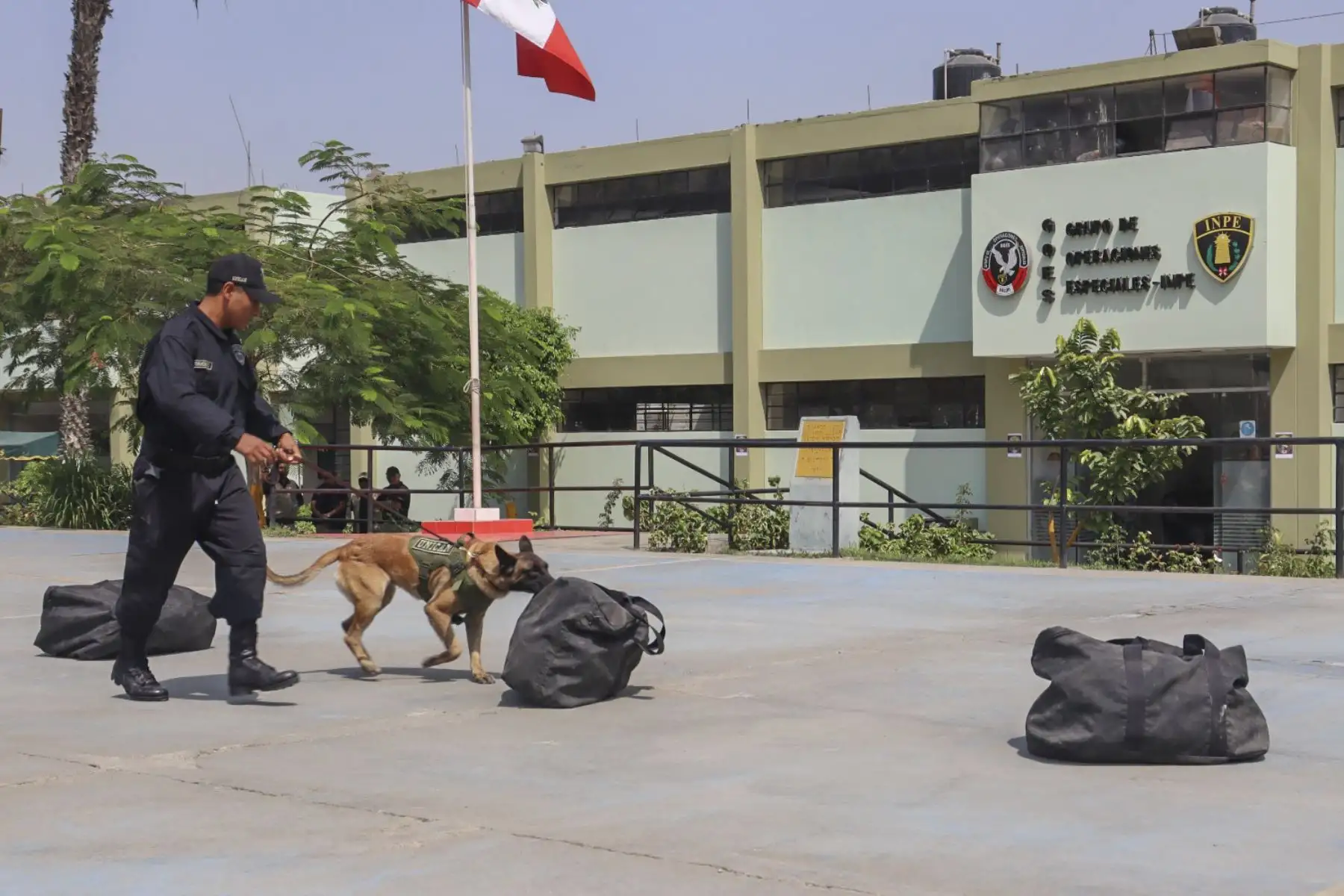 El acto protocolar culminó con la simulación de una parte de las actividades del personal GOES. Rescate de rehenes, antimotines, reducción de personas y la unidad canina hizo gala de su capacidad en hallar drogas o equipos celulares.
Foto: ANDINA/INPE