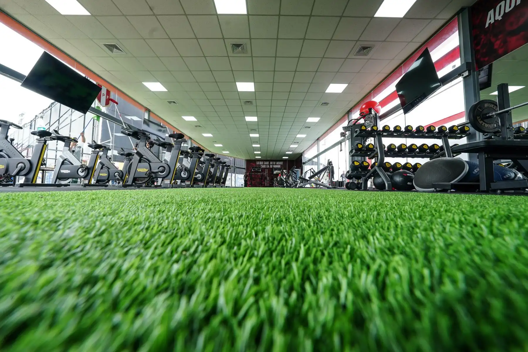 El gimnasio, ubicado en la zona de campos de entrenamiento de la Videna FPF, cuenta con máquinas de alta tecnología en un área de 210 metros cuadrados. Tiene una pista de trote de césped sintético, áreas exteriores de activación y área social para los jugadores y comando técnico.

Foto: ANDINA/FPF