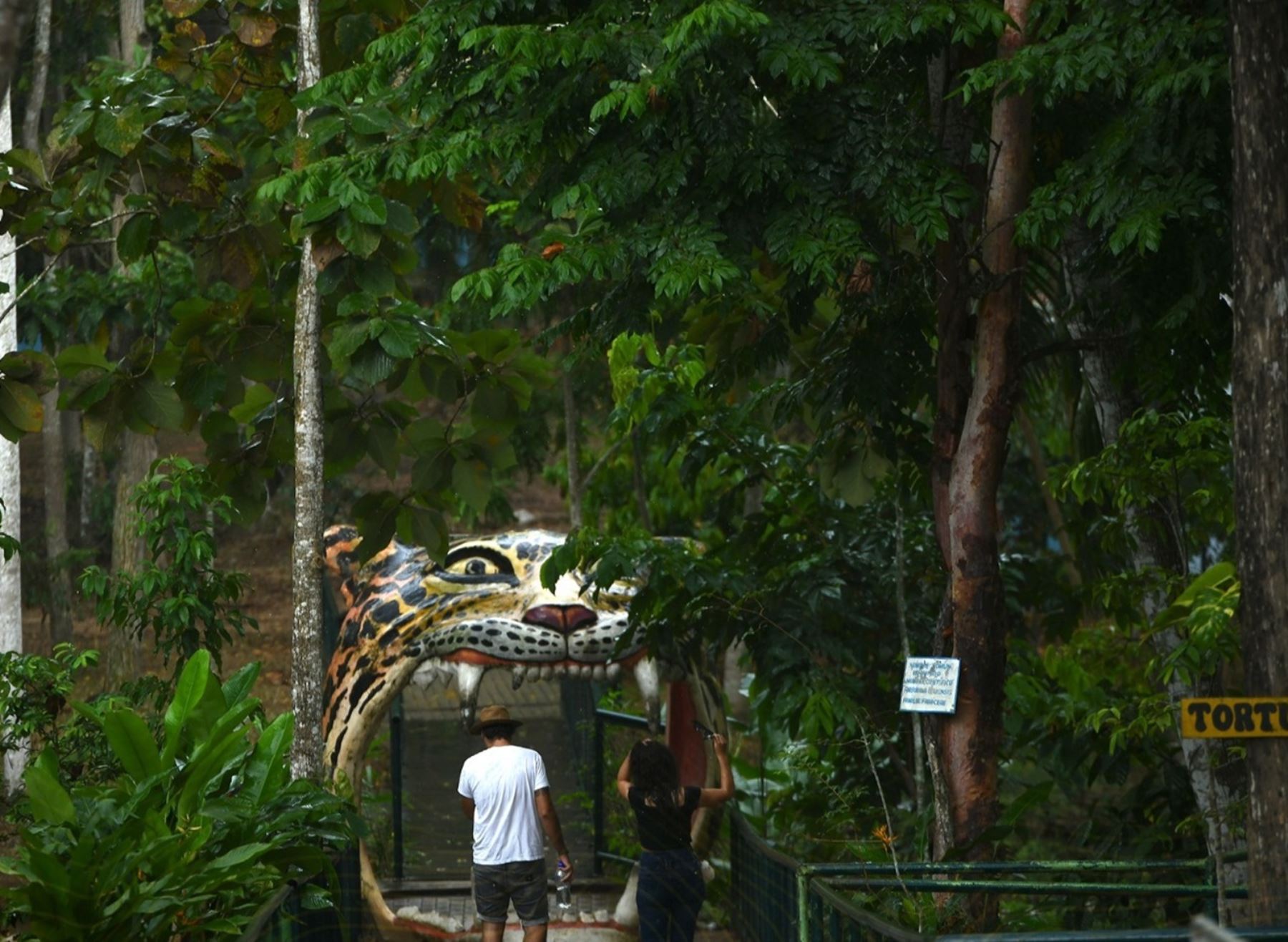 El zoológico de Pucallpa, ubicado en Ucayali, mejoró de categoría y ahora podrá albergar y custodiar ejemplares de especies protegidas. ANDINA/Difusión