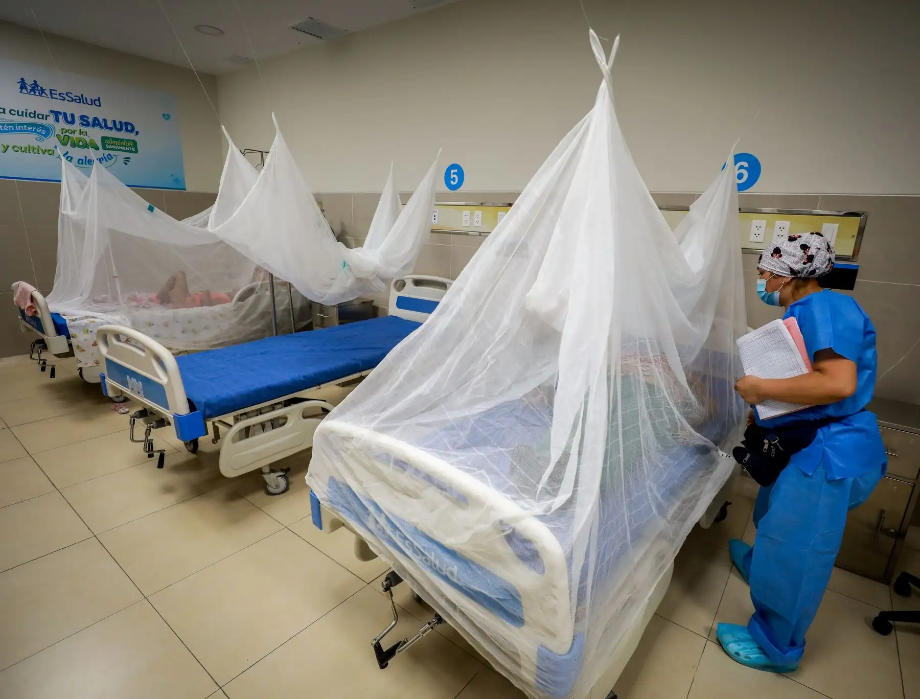 María Elena Aguilar del Águila pide a población seguir recomendaciones para evitar más casos de dengue.  Foto: ANDINA/Difusión