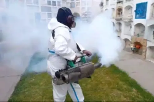 Se fumigó las áreas comunes del camposanto con una termo nebulizadora con el propósito de controlar y eliminar plagas que podrían encontrarse en el lugar. Foto: ANDINA/Difusión