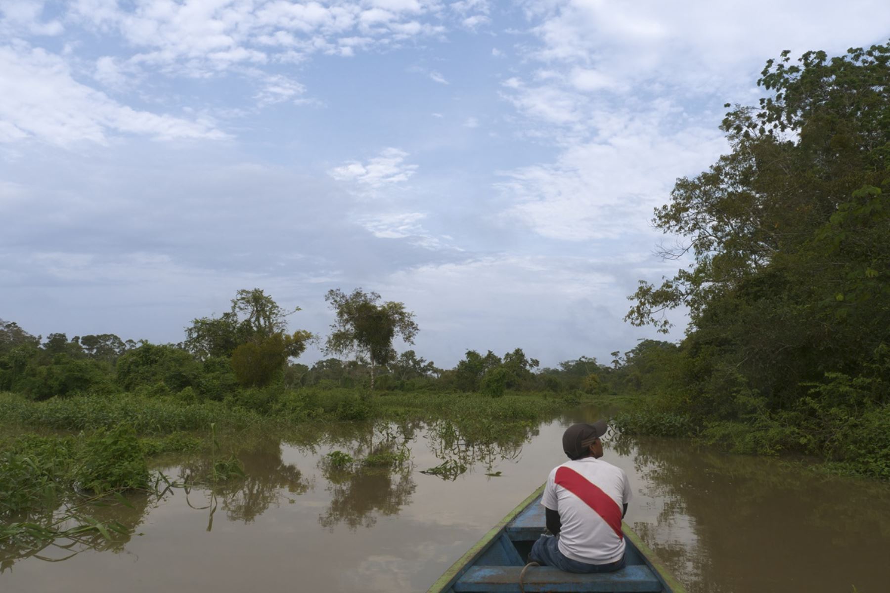 El departamento de Ucayali, en a selva central peruana, ya cuenta con su zonificación forestal aprobada. Foto: ANDINA/Serfor