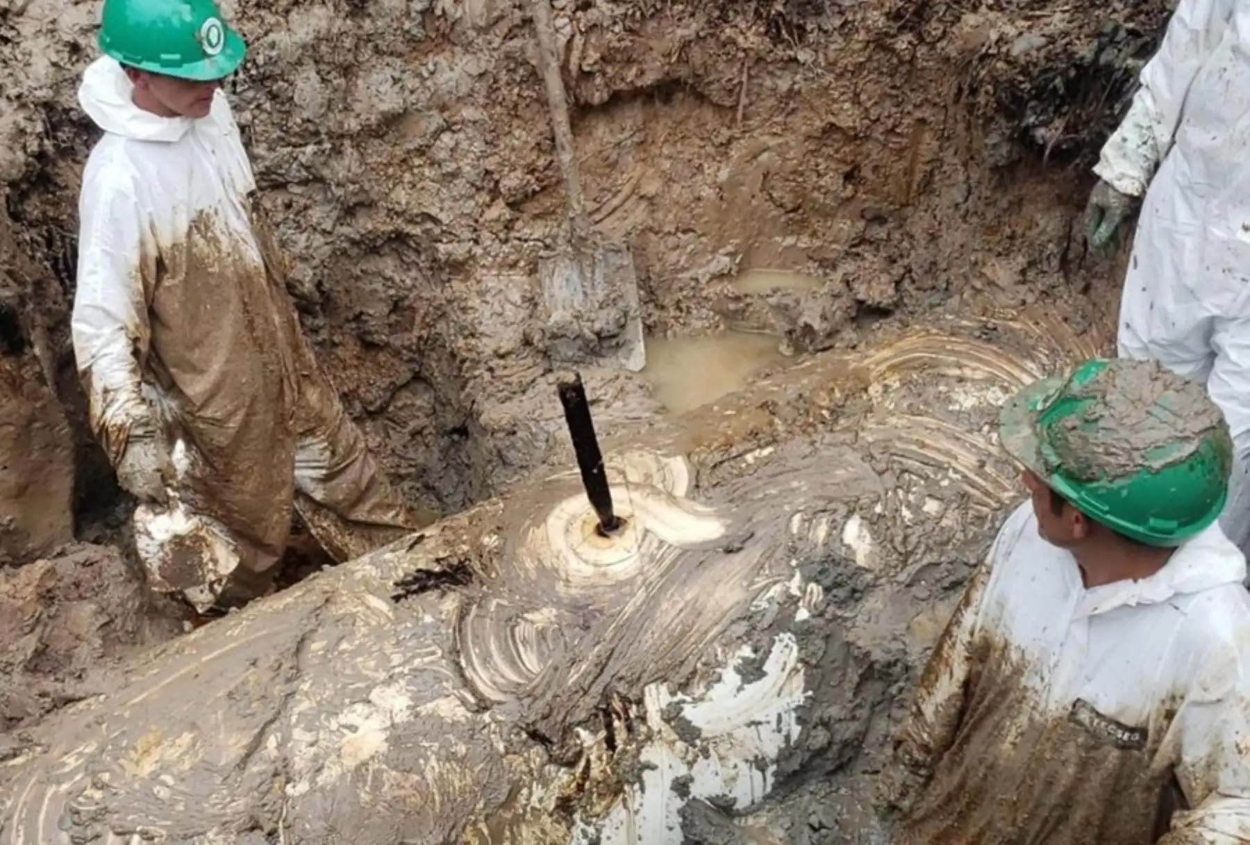 Un nuevo ataque a la tubería del Oleoducto Norperuano (ONP) se produjo el viernes 15 de marzo, en el kilómetro 356 del Tramo II, en el distrito Nieva, provincia de Condorcanqui, región Amazonas, denunció la empresa Petroperú.
