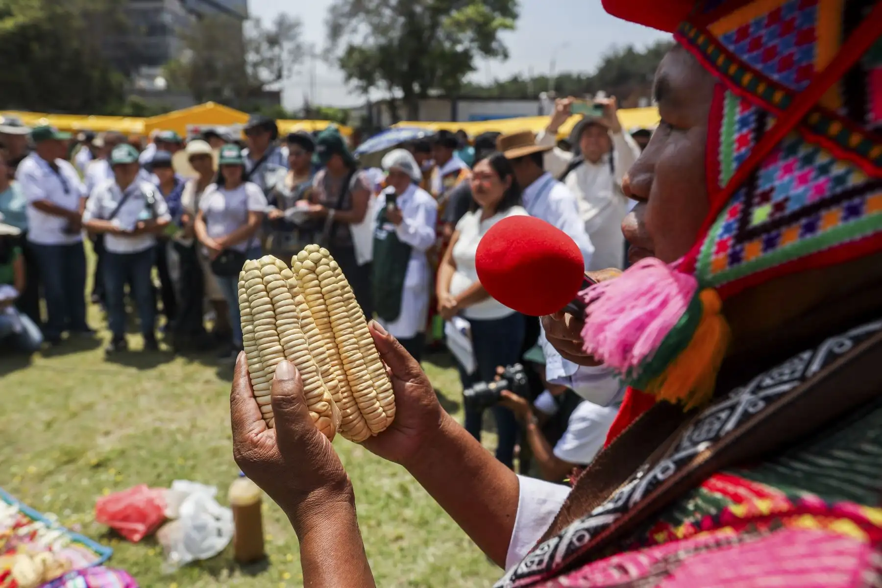El Ministerio de Desarrollo Agrario y Riego dio inicio a una nueva edición de la feria “De la Chacra a la Olla”, el mercado itinerante más grande del país, que reunió a 80 pequeños productores agropecuarios de los lugares más alejados. Foto: Midagri