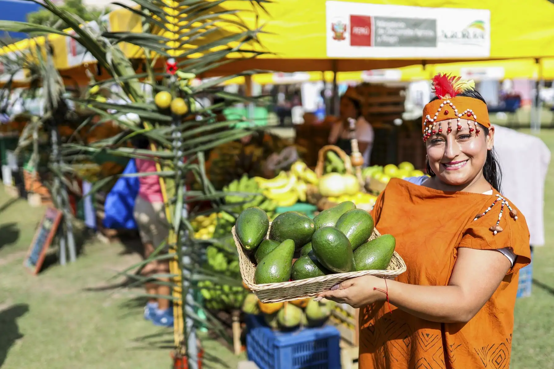 La feria de “De la Chacra a la Olla” se viene desarrollando en el Campo de Marte (Av. De la Peruanidad, Jesús María) de 10:00 a.m. a 6:00 p.m. Foto: Midagri