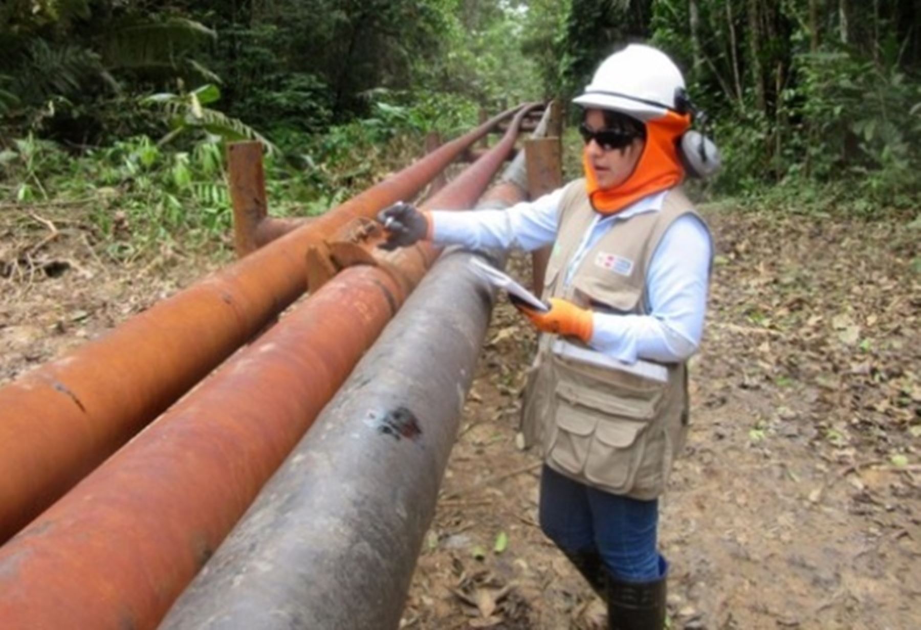 El OEFA supervisa derrame de petróleo crudo ocurrido el 15 de marzo en el Oleoducto Norperuano