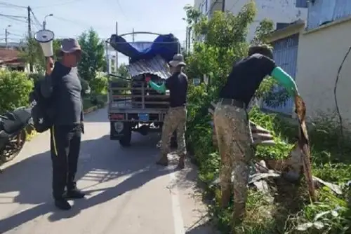 Madre de Dios tiene previsto realizar 18 campañas de recojo de criaderos de zancudos.