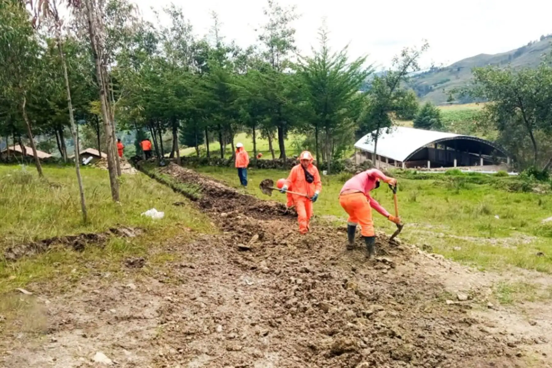 A través de este proyecto de riesgo tecnificado del Midagri se beneficiarán más de 360 familias cajamarquinas que han recobrado la esperanza y se muestran optimistas con la proyección de un incremento promedio de 20% en los rendimientos de los cultivos, así como una reducción del consumo de agua en alrededor del 30%.